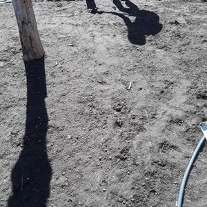 Meet your Posher, Tara